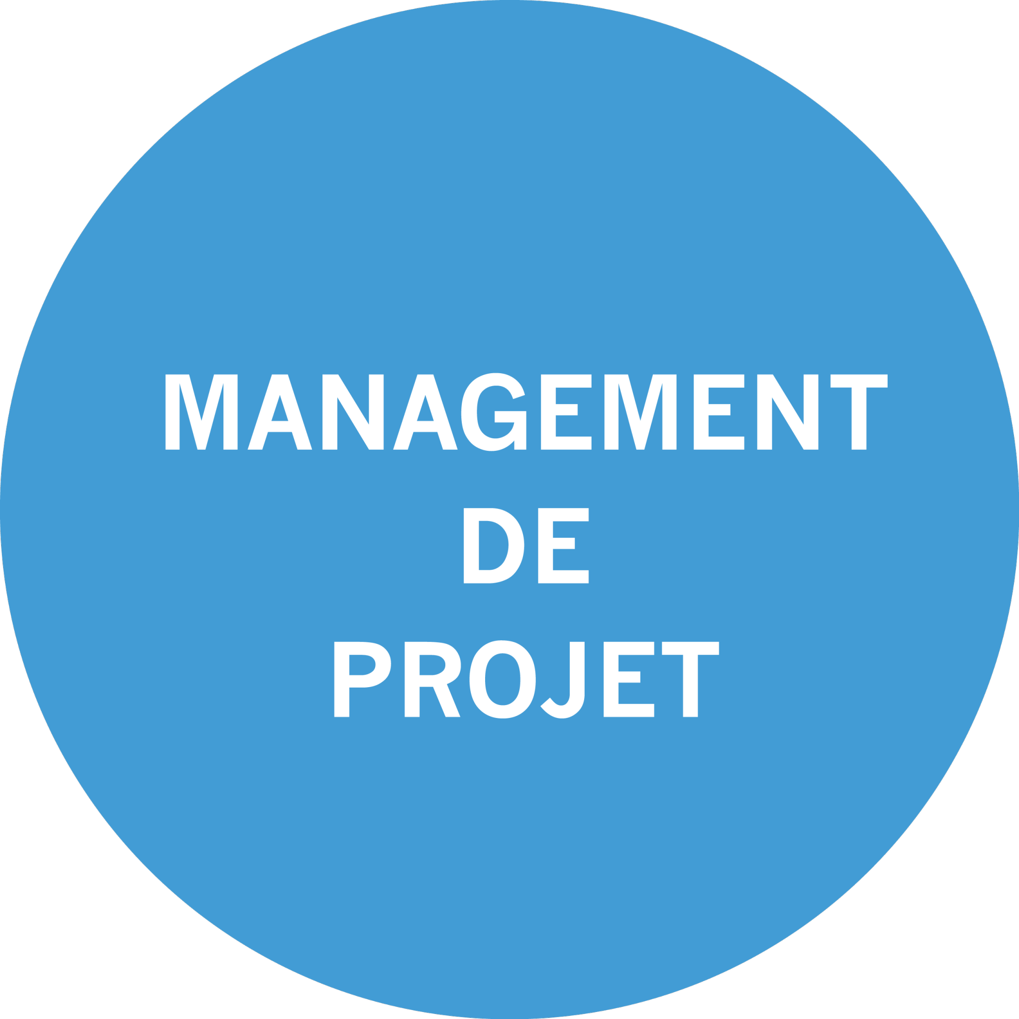 Management de projet